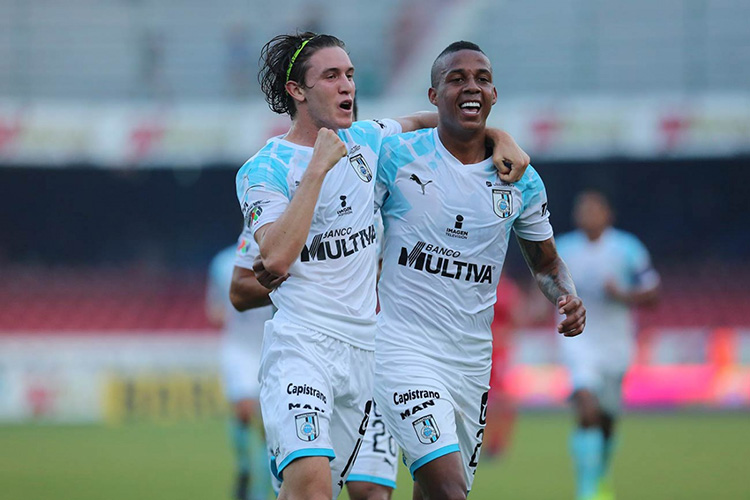 Gallos cantan en el puerto ante un inofensivo Tiburón