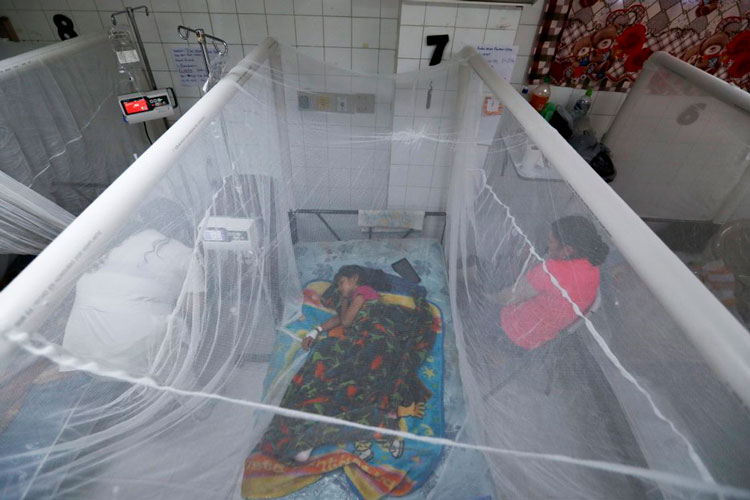 Epidemia de dengue asola Centroamérica, es letal en Honduras