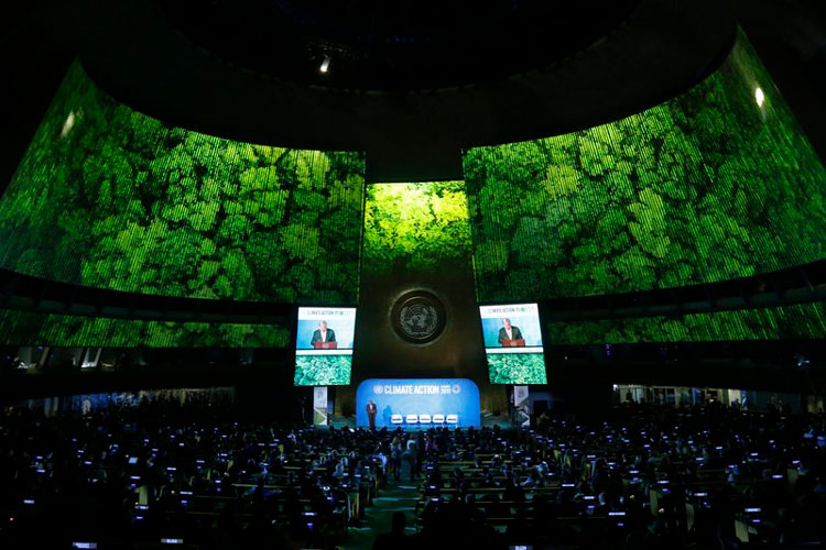 Cumbre de la ONU busca medidas contra cambio climático