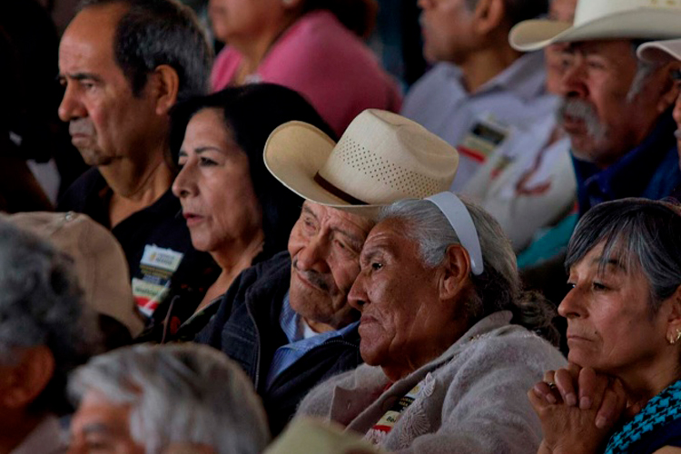 Presupuesto para pensiones crecerá 10% en 2020: Hacienda