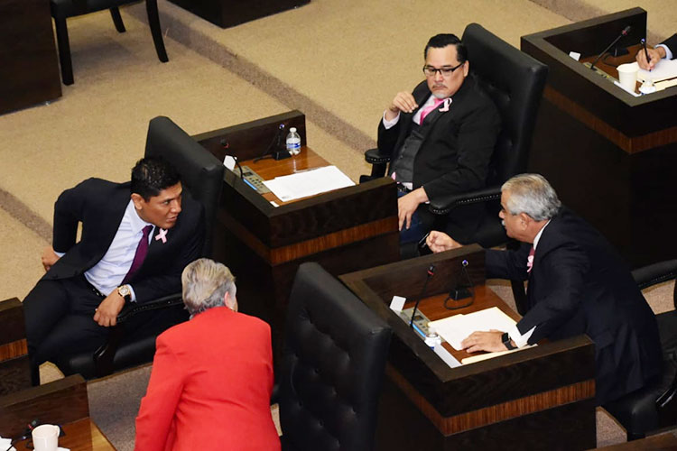 Una Tras Otra Reelección en el PAN