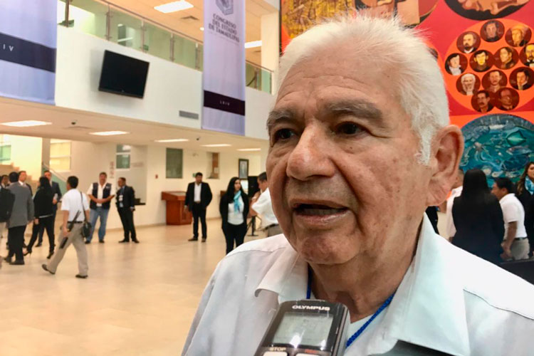 Disciplina se va imponer en Diputados: Líder de Morena