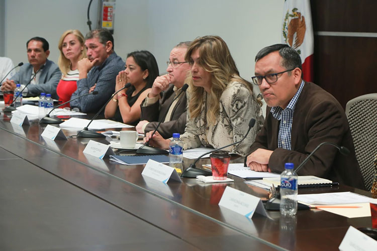 Aprueban Cabildo Proyecto de Ley de Ingresos 2020