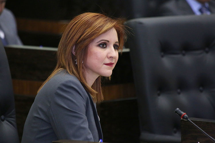 Aplican multa a Imelda SanMiguel por violar Ley Electoral