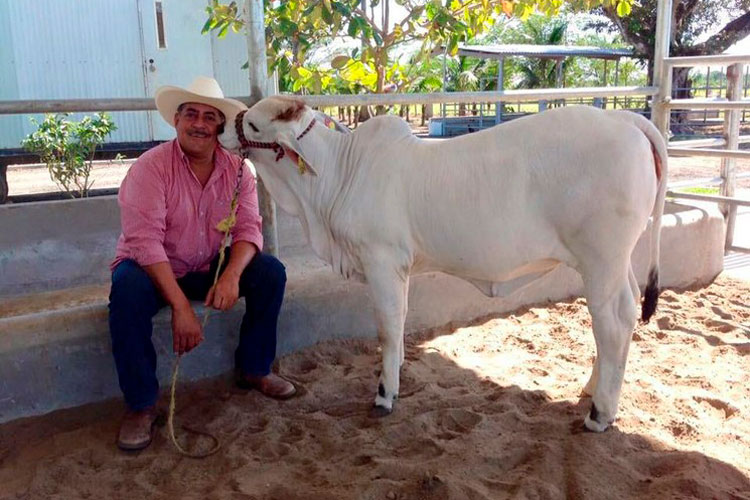 Ejecutan a diputado local Juan Carlos Molina, en Veracruz