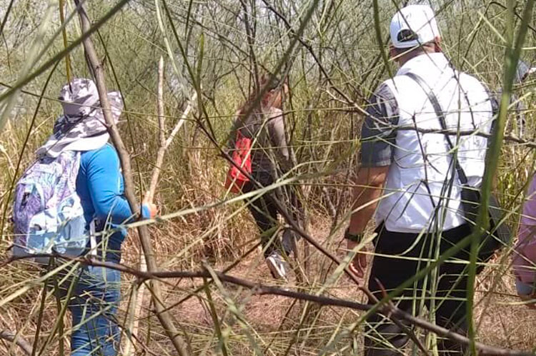 Comienza búsqueda de desaparecidos en la zona sur