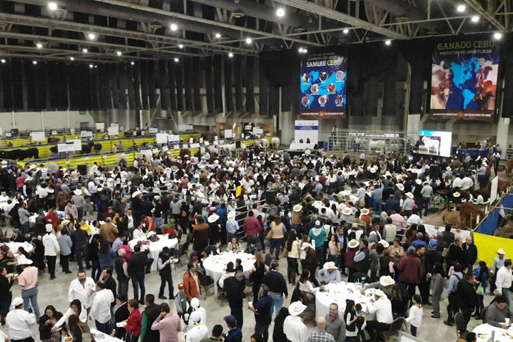 Tampico, Ciudad que Brilla en el Turismo de Convenciones: Chucho Nader