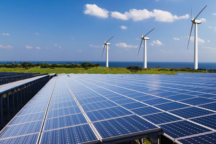 Preocupa a Partido Verde cancelar uso de energías renovables