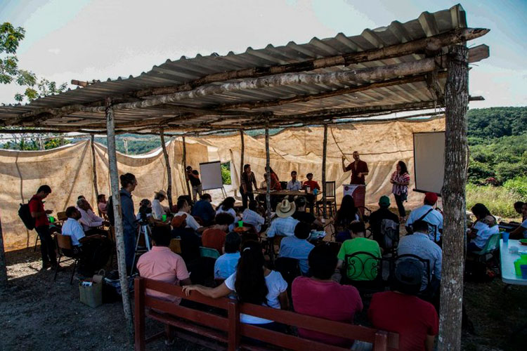 Proyecto del Tren Maya ha atropellado derechos: activistas
