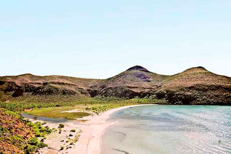 Desprotegen áreas naturales; presupuesto cayó 86% en siete años