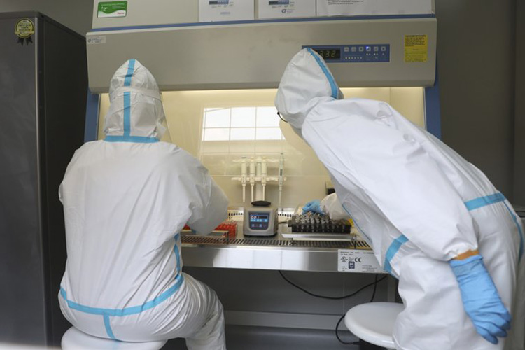 OMS: Fármaco contra malaria no frena muertes por coronavirus