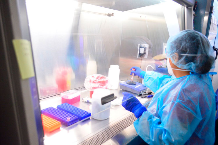 Tamaulipas rebasa los 5 200 casos de Coronavirus