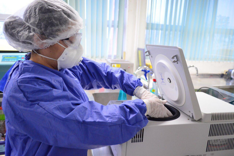 Rebasa Tamaulipas las 500 defunciones por Covid19