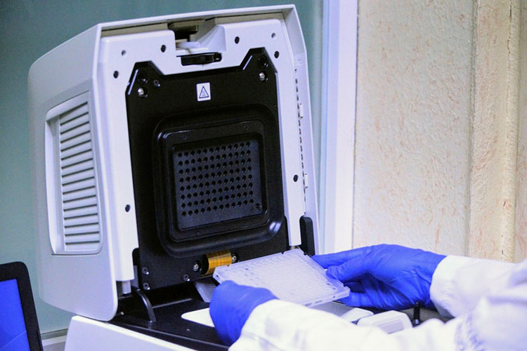Confirma Tamaulipas 313 casos nuevos de COVID-19, la cifra oficial asciende a 10,530