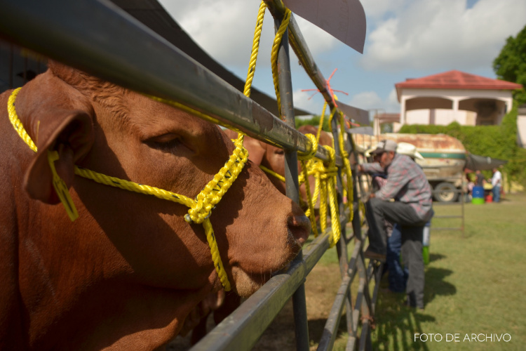 Reciben Ganaderos de Tamaulipas subsidios de 4 mdp