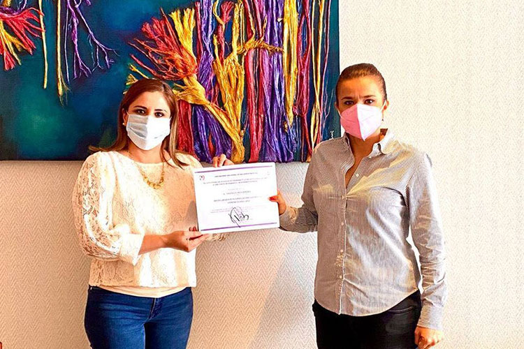 Aprueban lineamientos para candidatos independientes