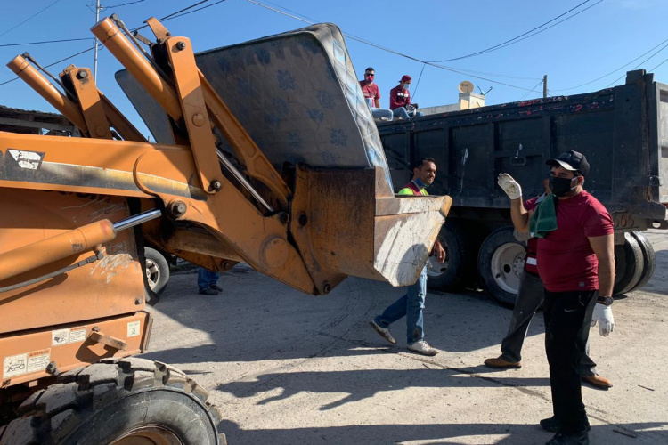 Eliminan en Matamoros criaderos del mosco transmisor del dengue