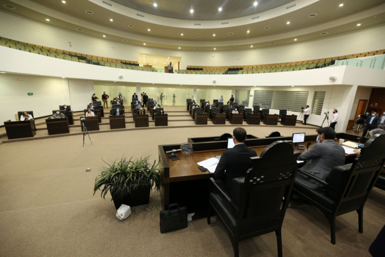 Diputados designan a Pilar Gómez Alcaldesa en Victoria