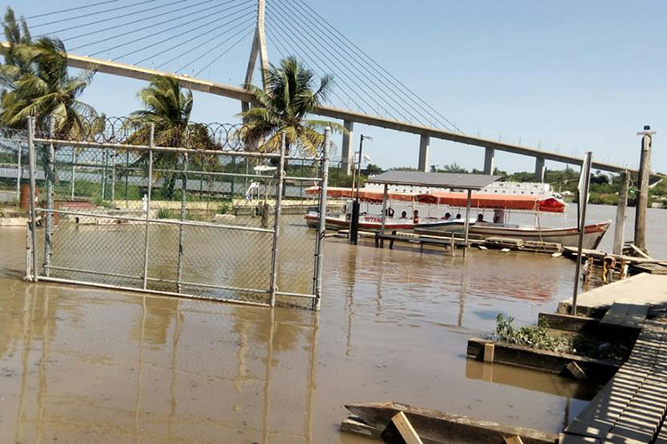 Brinda DIF Tampico Servicios de Salud a los Adultos Mayores