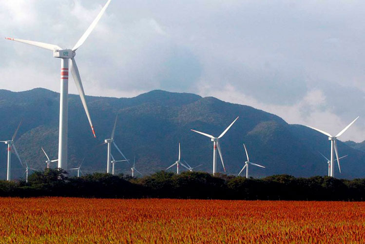 Negocios públicos deben ser el único interés de funcionarios, reitera AMLO