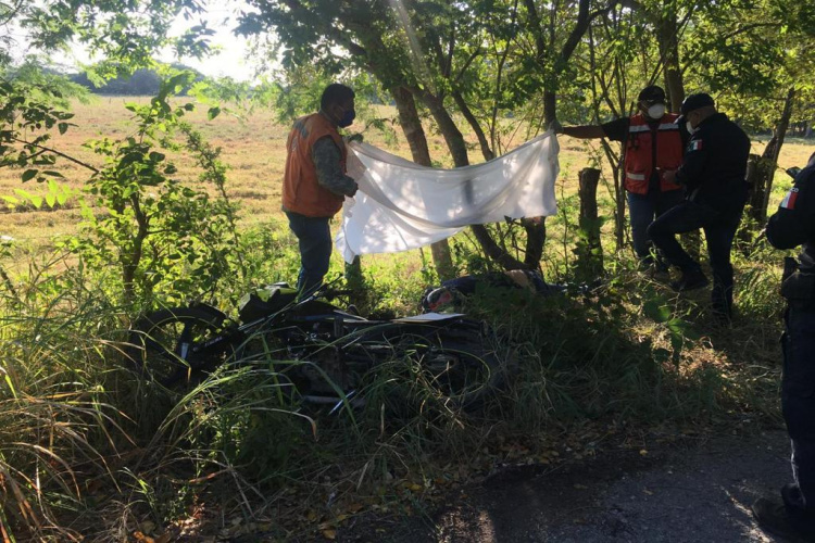 Se estrella contra árbol a 60 kilómetros por hora y muere