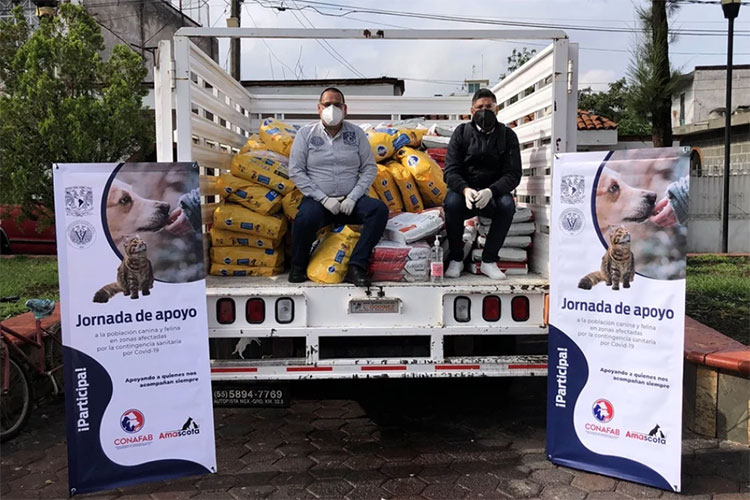 Por Covid-19, UNAM dona 33 toneladas de alimento para mascotas