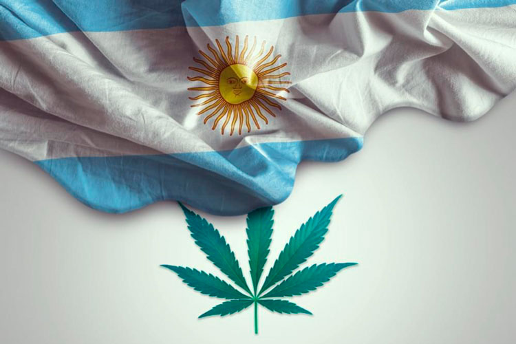 Argentina: rige ley que permite el uso medicinal de cannabis