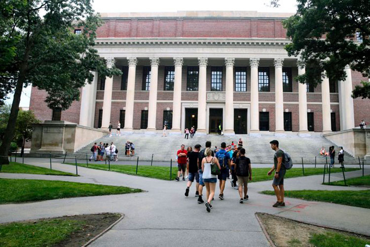 Argentina: rige ley que permite el uso medicinal de cannabis