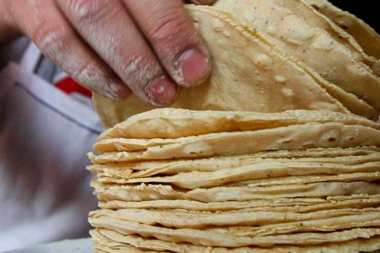 Prevén aumento al precio de tortilla de 10 a 15 por ciento para diciembre