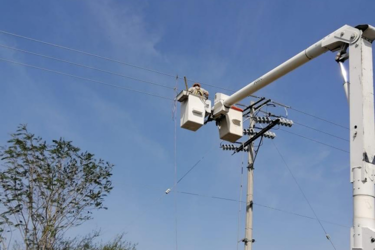CFE ‘electrocutó’ presupuesto para mantenimiento de brechas
