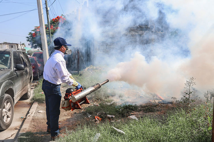 Se mantendrá prevención contra el dengue: Rivas