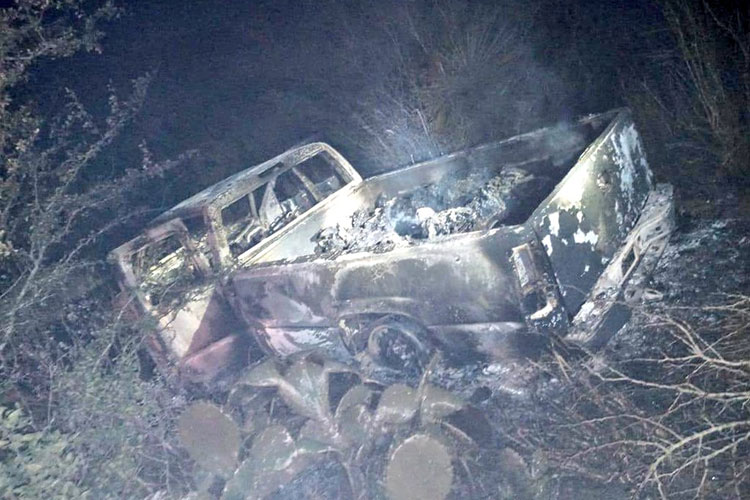 Tolera Estado crimen contra migrantes: Red Jesuita