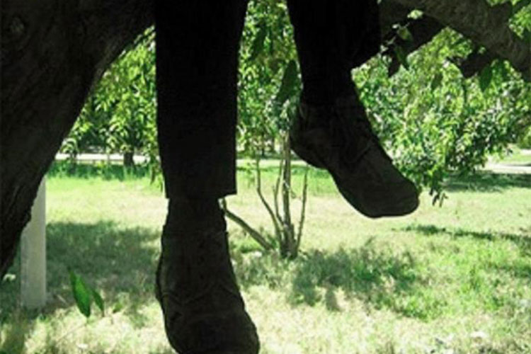 Pandemia y desempleo incrementó suicidios