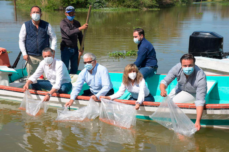 Siembra Chucho Nader más de 15 Mil Alevines de Tilapia