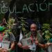Listo, dictamen sobre uso lúdico de mariguana