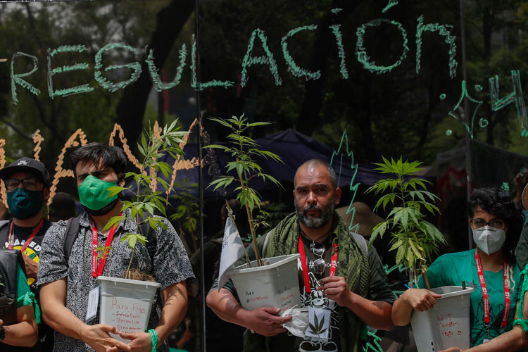 Listo, dictamen sobre uso lúdico de mariguana
