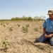 Apoyos por tormenta invernal no llegaron a productores