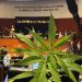 Acumula Tamaulipas 50 mil 572 casos de Covid19