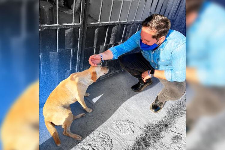 Maltrato animal será castigado: Mario Ramos