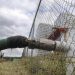 Fijan nuevas multas al ‘Huachicoleo’ de agua