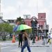 Llega vacunas BCG después de ocho meses de espera