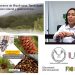 Destacan en conferencia la importancia de los pinos piñoneros de Miquihuana