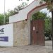 Hermana de Geño se registró y renunció; PVEM no informó: INE