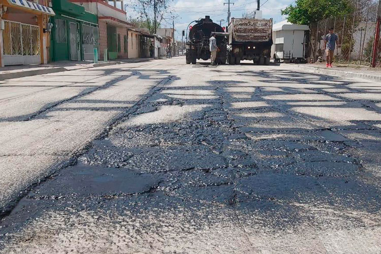 Cierran paso ‘lugares pirata’ para venta de mascotas