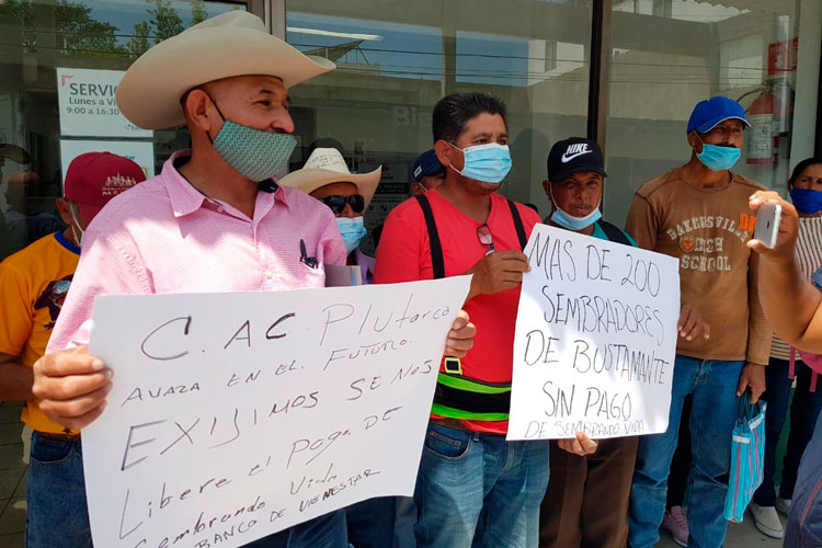 Banco de Bienestar “sin dinero” para pagar “Sembrando Vida”