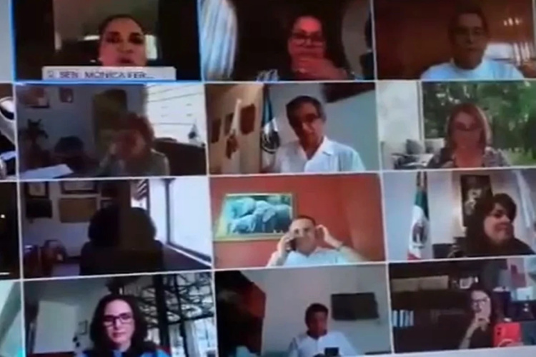 Senadora de balconea ‘con línea’ desde Palacio Nacional