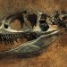 Hallan en México una nueva especie de dinosaurio