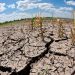 Pide PRI al Gobierno Federal  plan emergente contra sequía