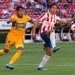 Chivas y Tigres aseguran su lugar en el repechaje