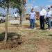 Arranca Sanmiguel reforestación de NLD en Calzada de los Héroes